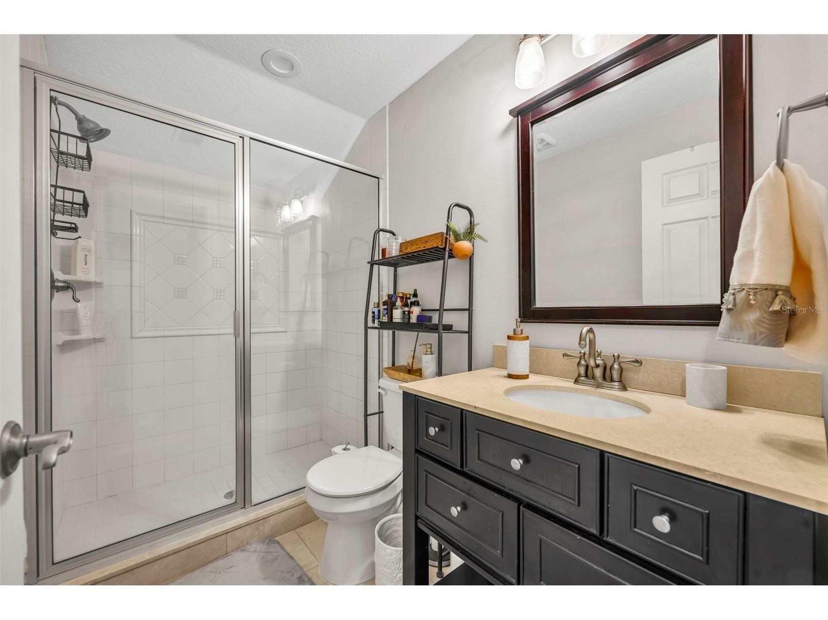 13536 Sunset Lakes Circle Winter Garden FL 34787 O6399227 image43