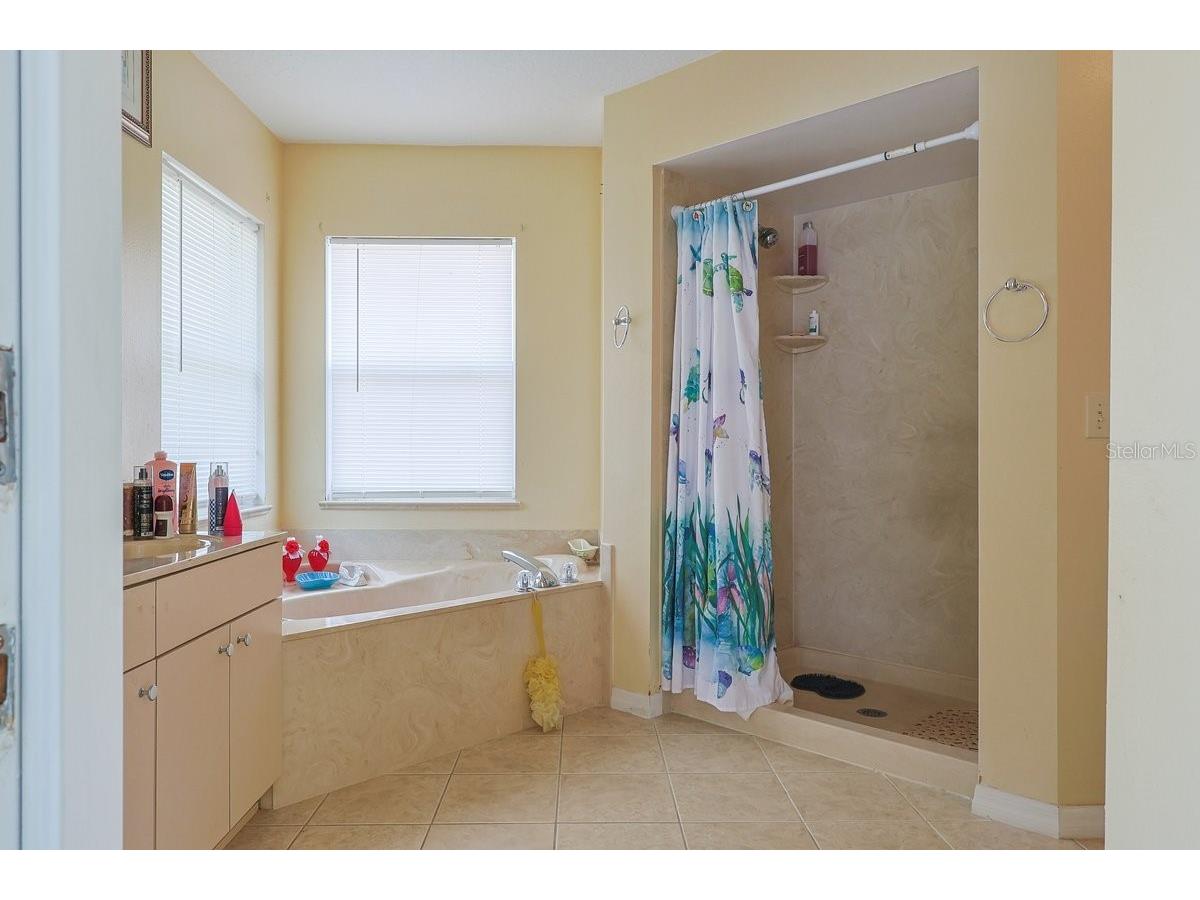 13536 SW 81st Circle Ocala FL 34473 O6407271 image17