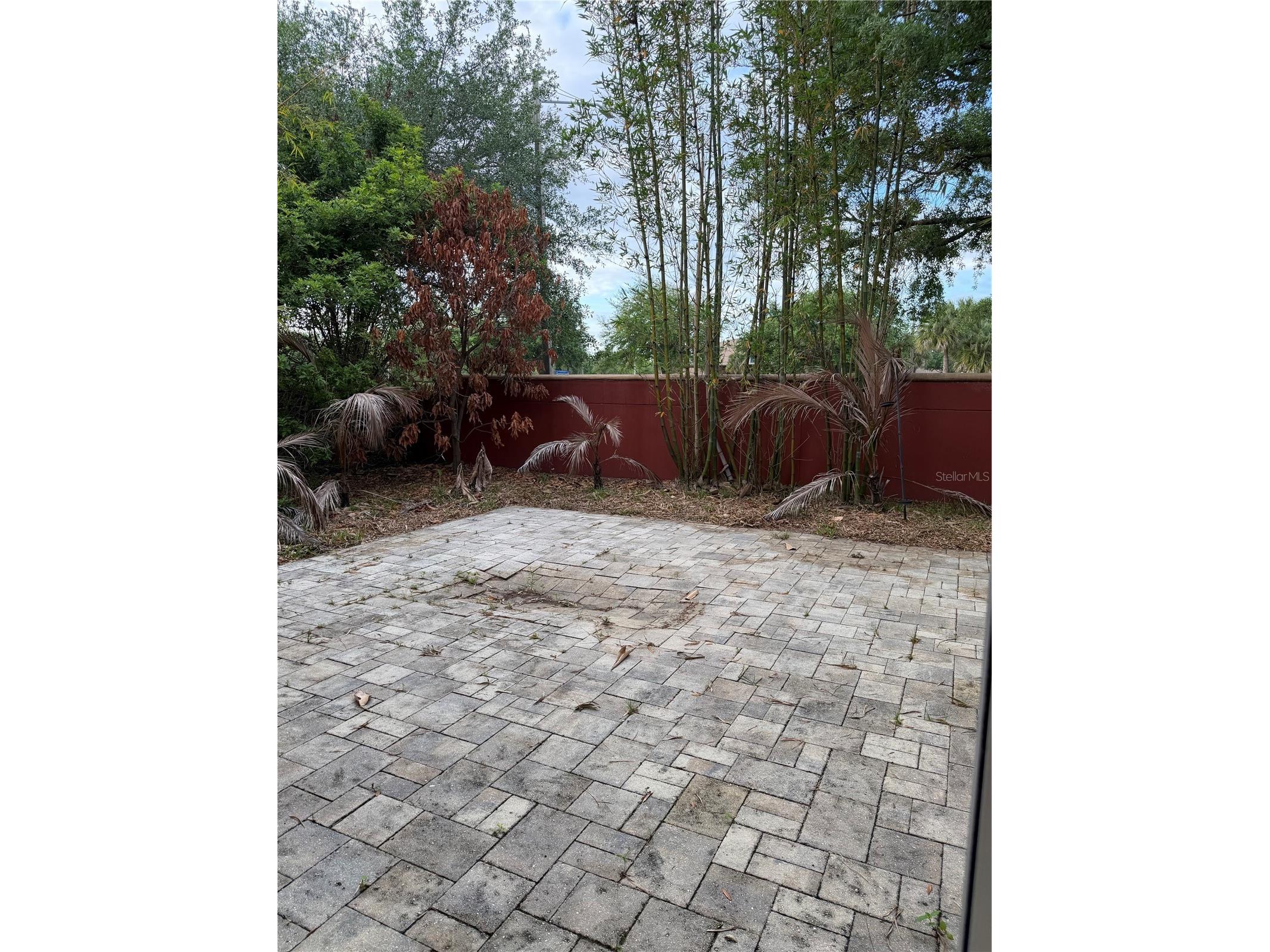 13537 Tetherline Trail Orlando FL 32837 S5147322 image24