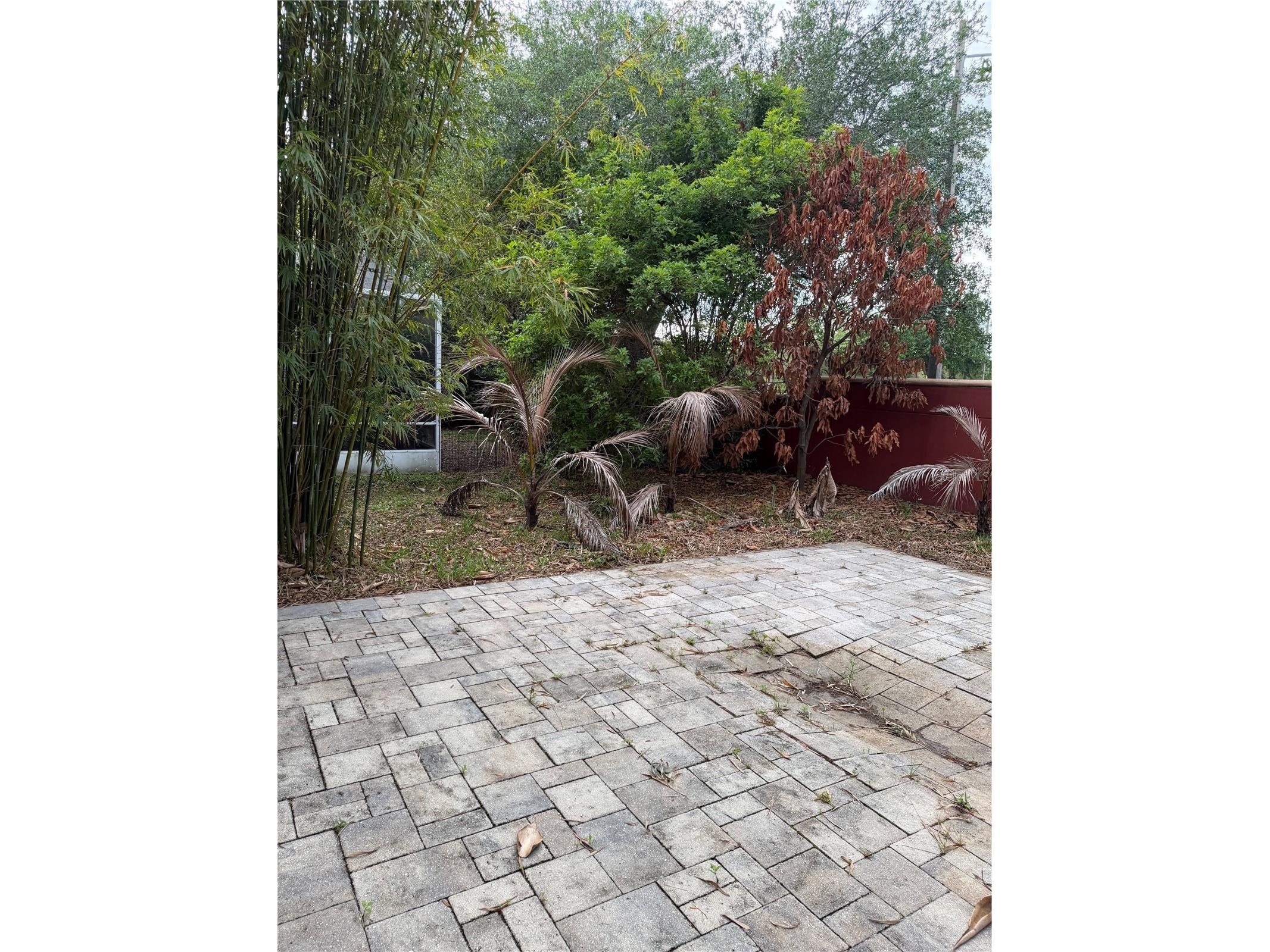 13537 Tetherline Trail Orlando FL 32837 S5147322 image25