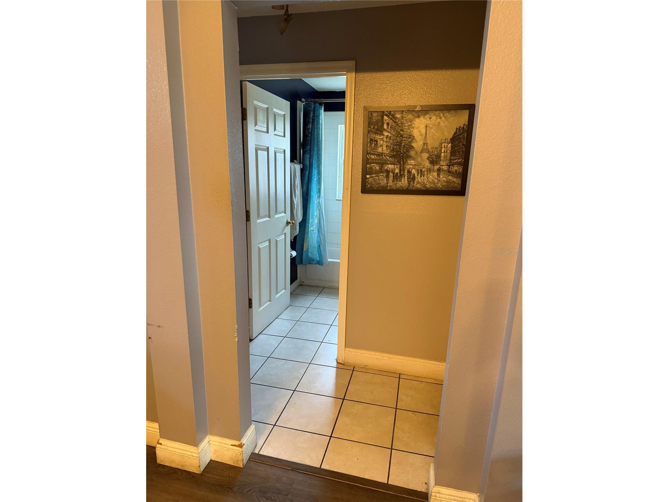 13537 Tetherline Trail Orlando FL 32837 S5147322 image9