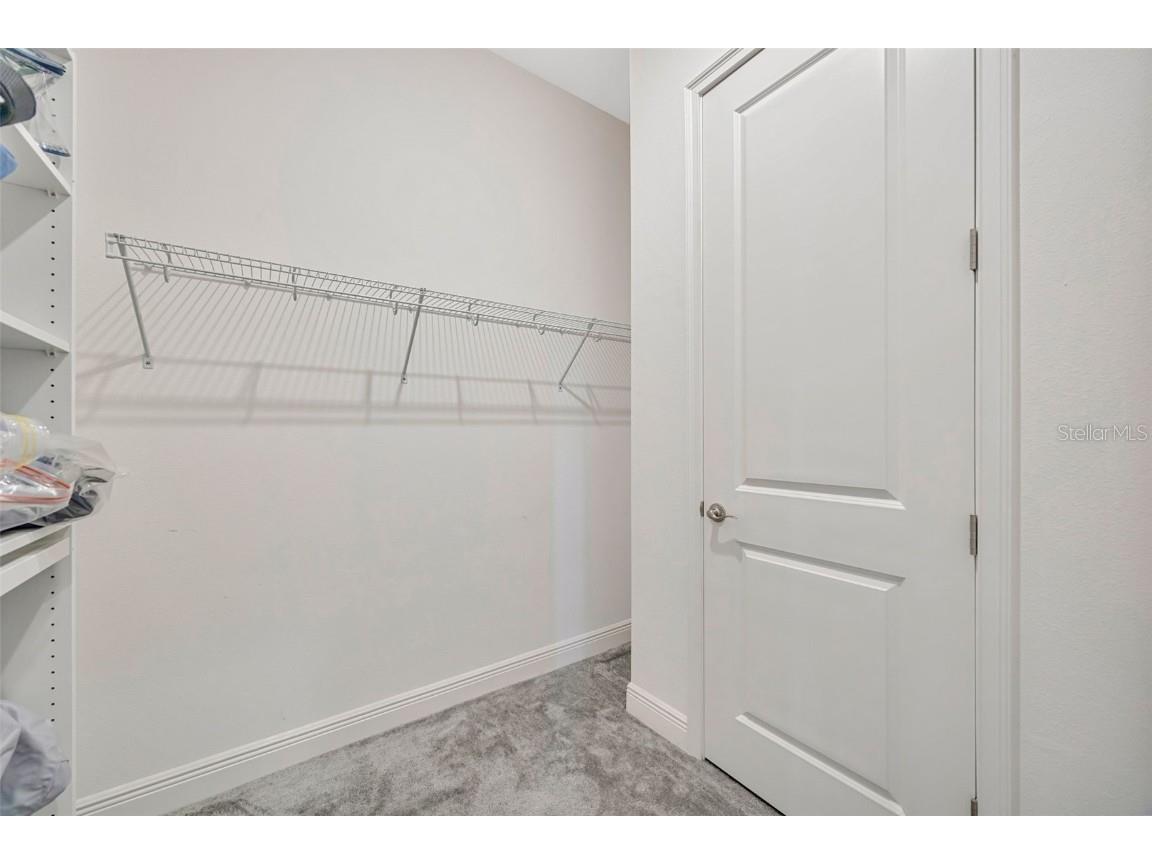 13539 Carryback Dr Dade City FL 33525 TB8441207 image52