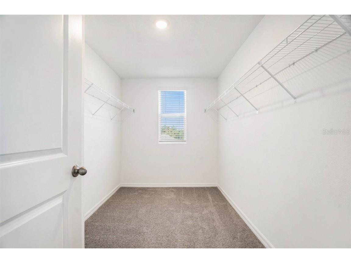 13539 Mount Ivy Court Dade City FL 33525 TB8446472 image17