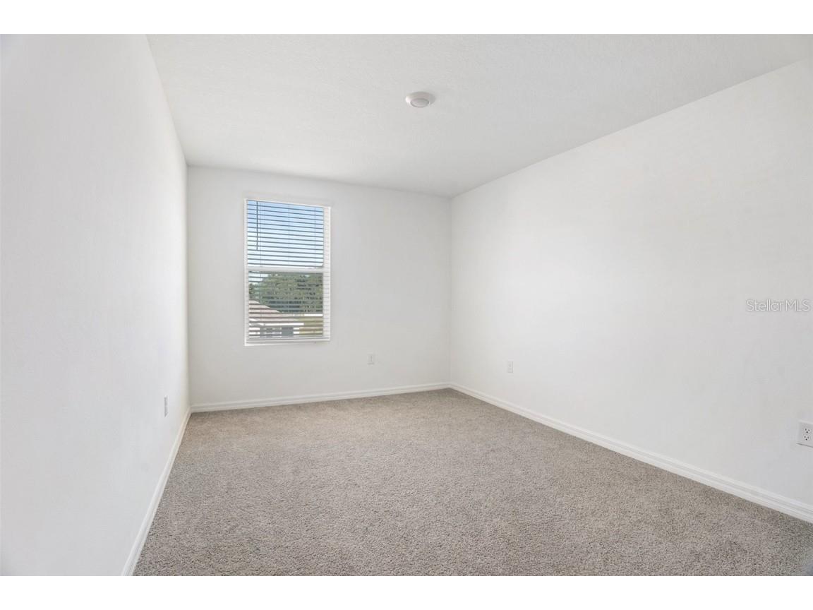 13539 Mount Ivy Court Dade City FL 33525 TB8446472 image18