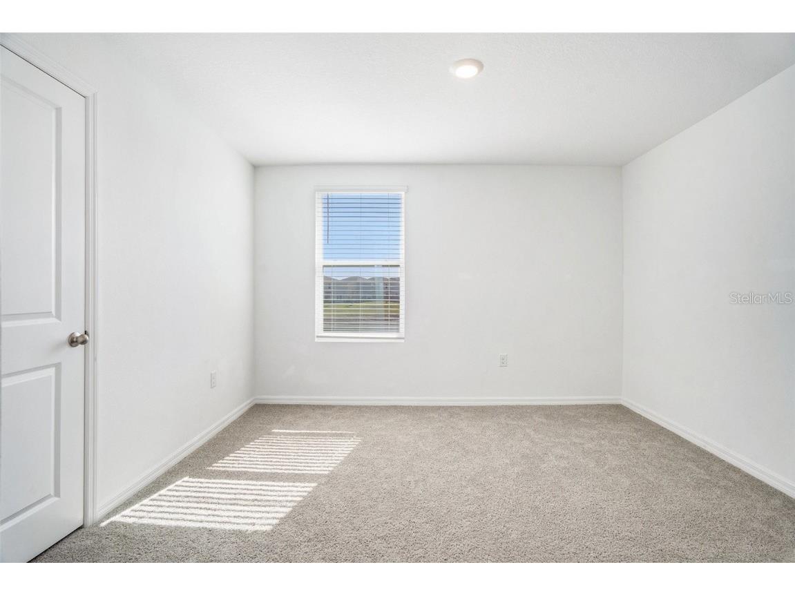 13539 Mount Ivy Court Dade City FL 33525 TB8446472 image22