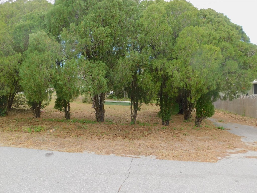 13539 Parkwood Street Hudson FL 34669 W7854855 image1