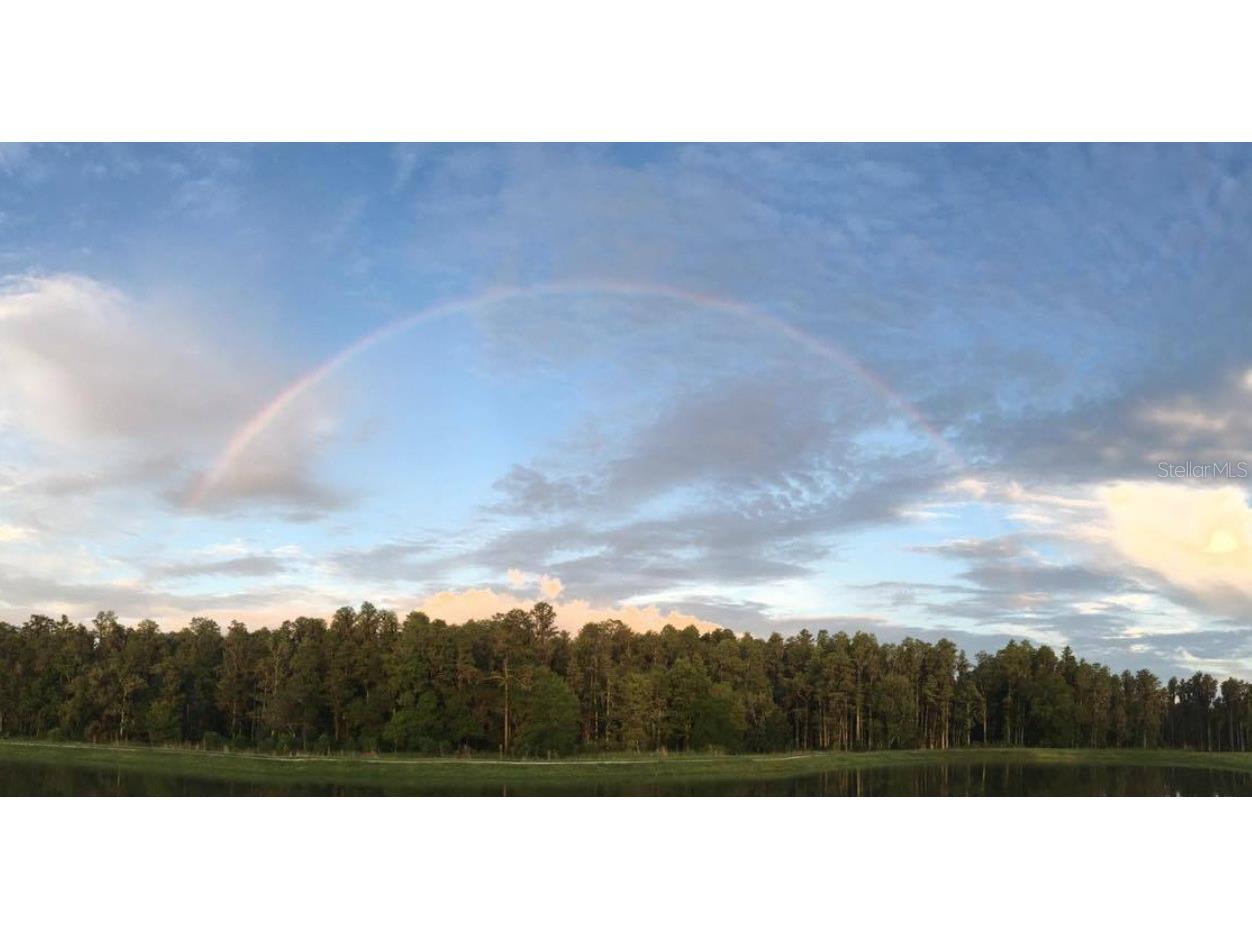 13539 Stansil Avenue Odessa FL 33556 TB8498471 image27