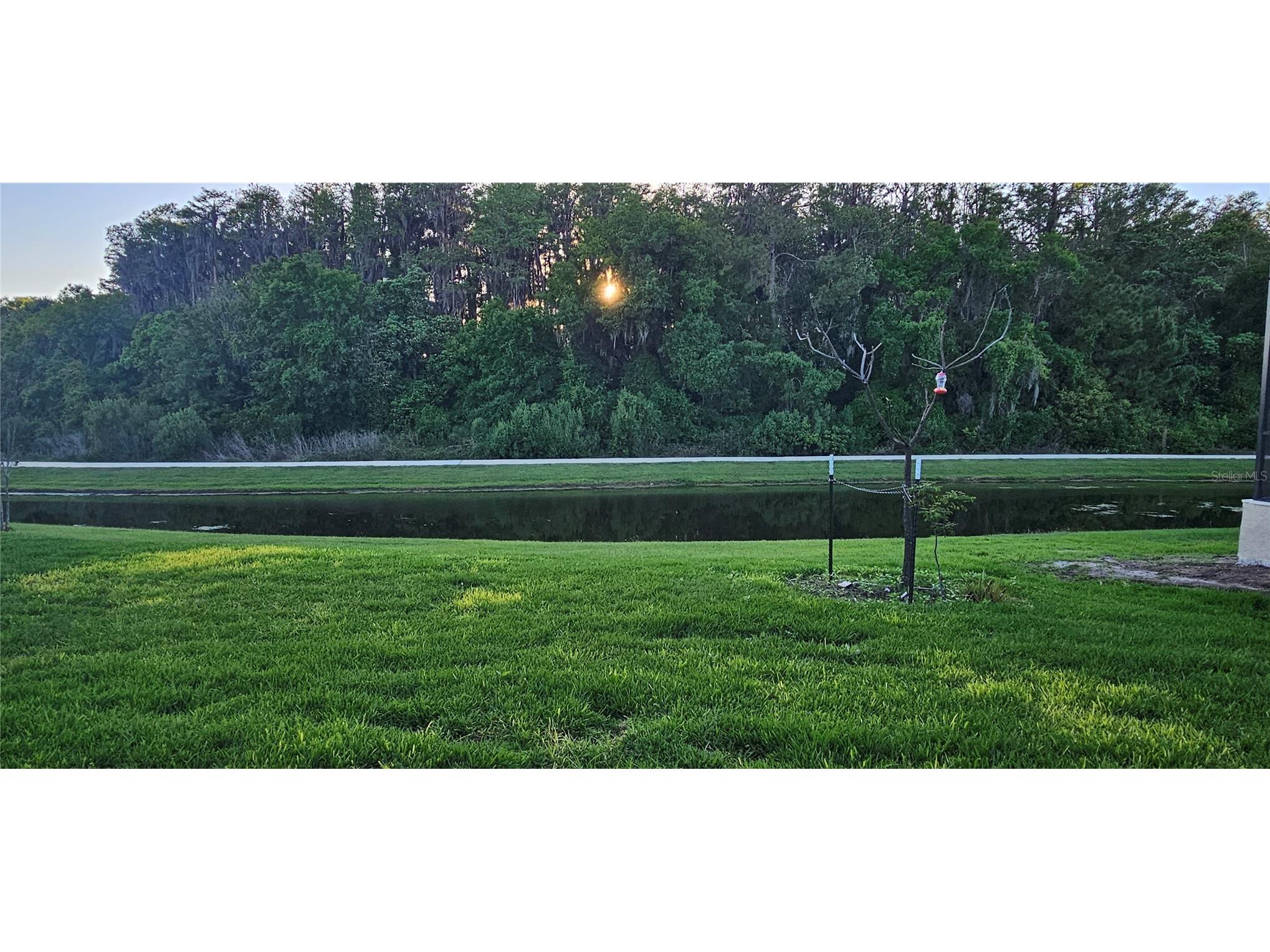 13539 Stansil Avenue Odessa FL 33556 TB8498471 image33