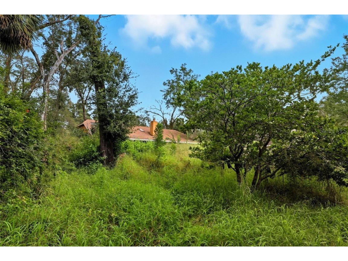 1354 Deer Lake Circle Apopka FL 32712 O6343066 image30