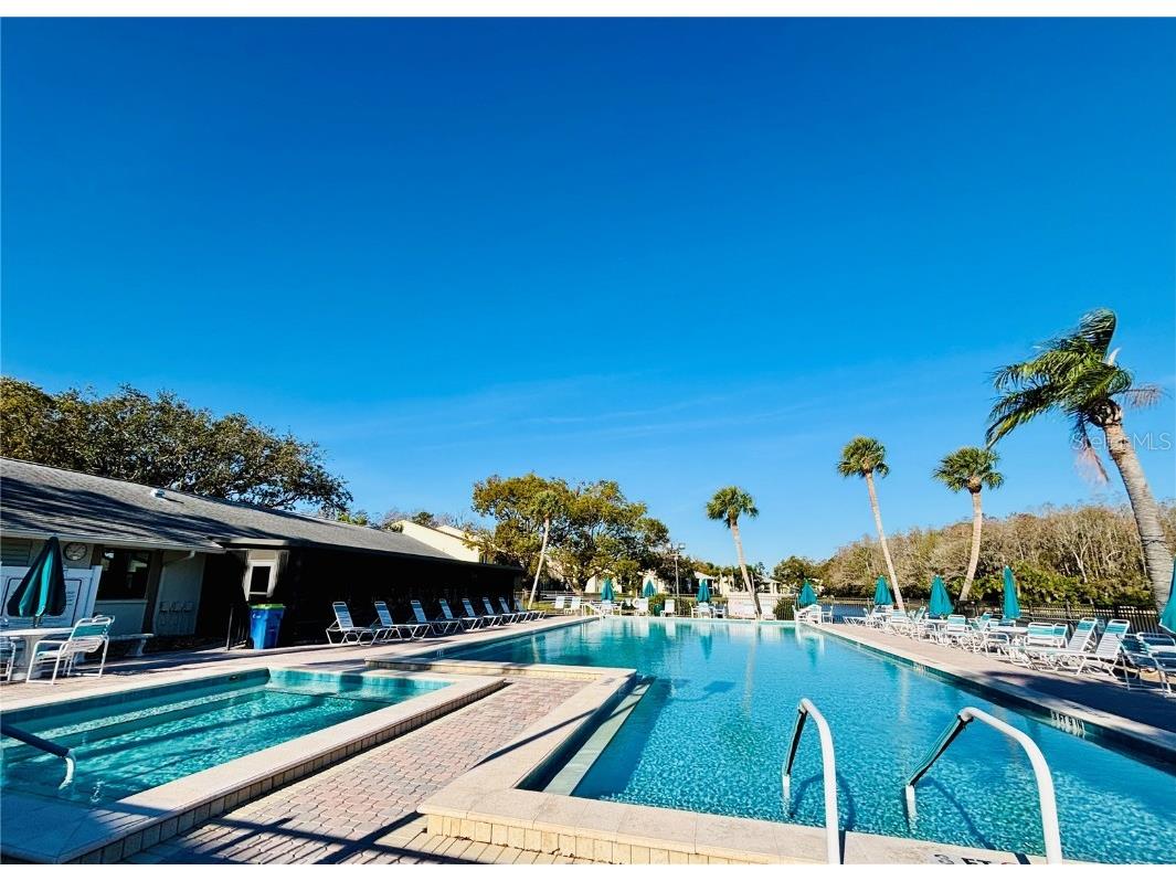 1354 Shady Pine Way #E2 Tarpon Springs FL 34688 TB8416125 image36