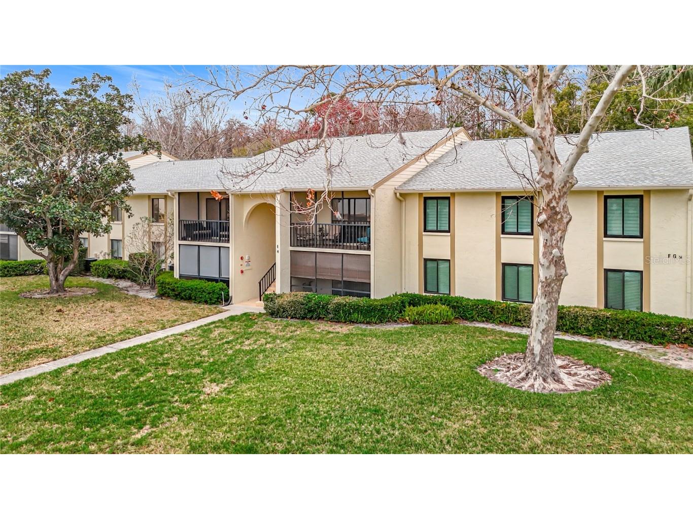 1354 Shady Pine Way #E2 Tarpon Springs FL 34688 TB8416125 image5