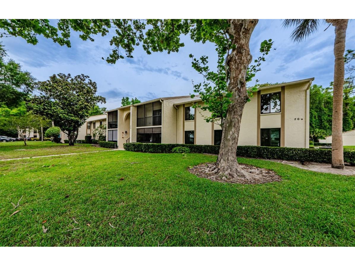 1354 Shady Pine Way #H1 Tarpon Springs FL 34688 U8198974 image1