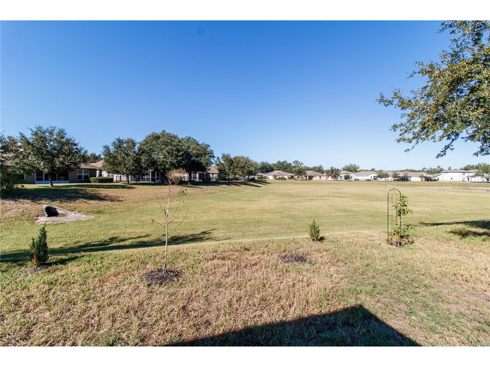 13541 Niti Drive Hudson FL 34669 TB8486961 image4