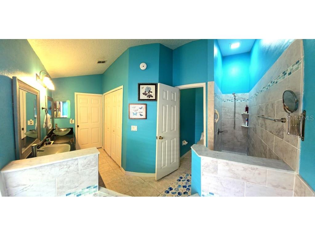 13541 Tetherline Trail Orlando FL 32837 TB8433531 image18