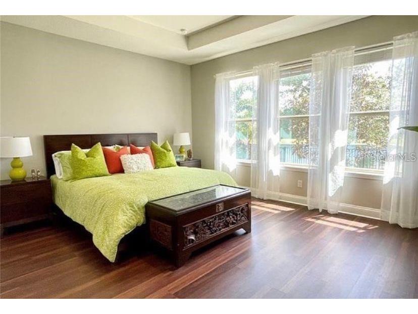 13542 Gorgona Isle Drive Windermere FL 34786 O6390582 image10