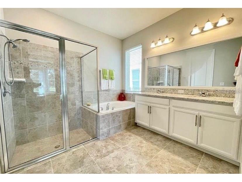 13542 Gorgona Isle Drive Windermere FL 34786 O6390582 image11