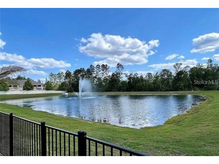 13542 Gorgona Isle Drive Windermere FL 34786 O6390582 image2