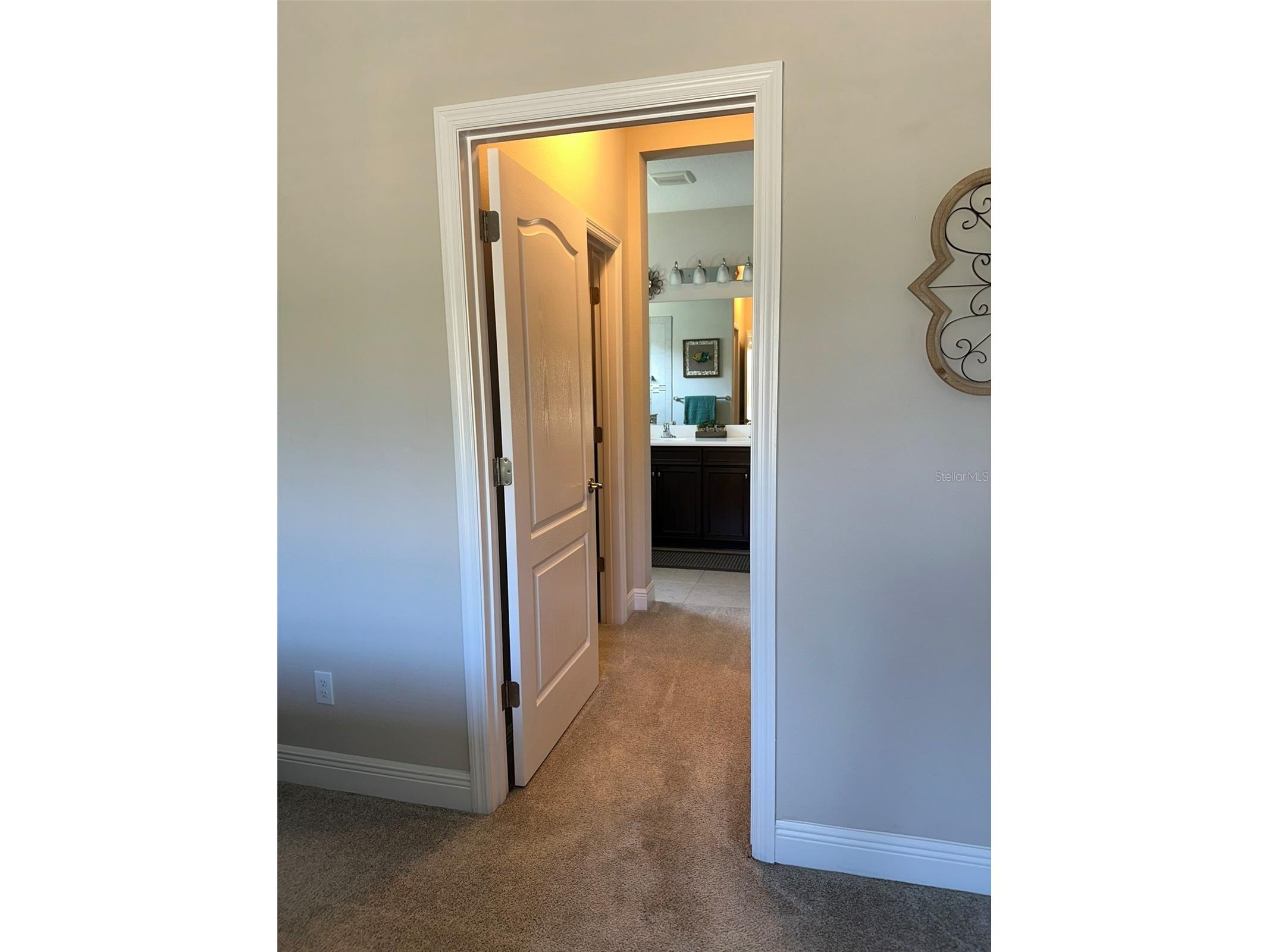 13544 Old Creek Court Parrish FL 34219 TB8481706 image27