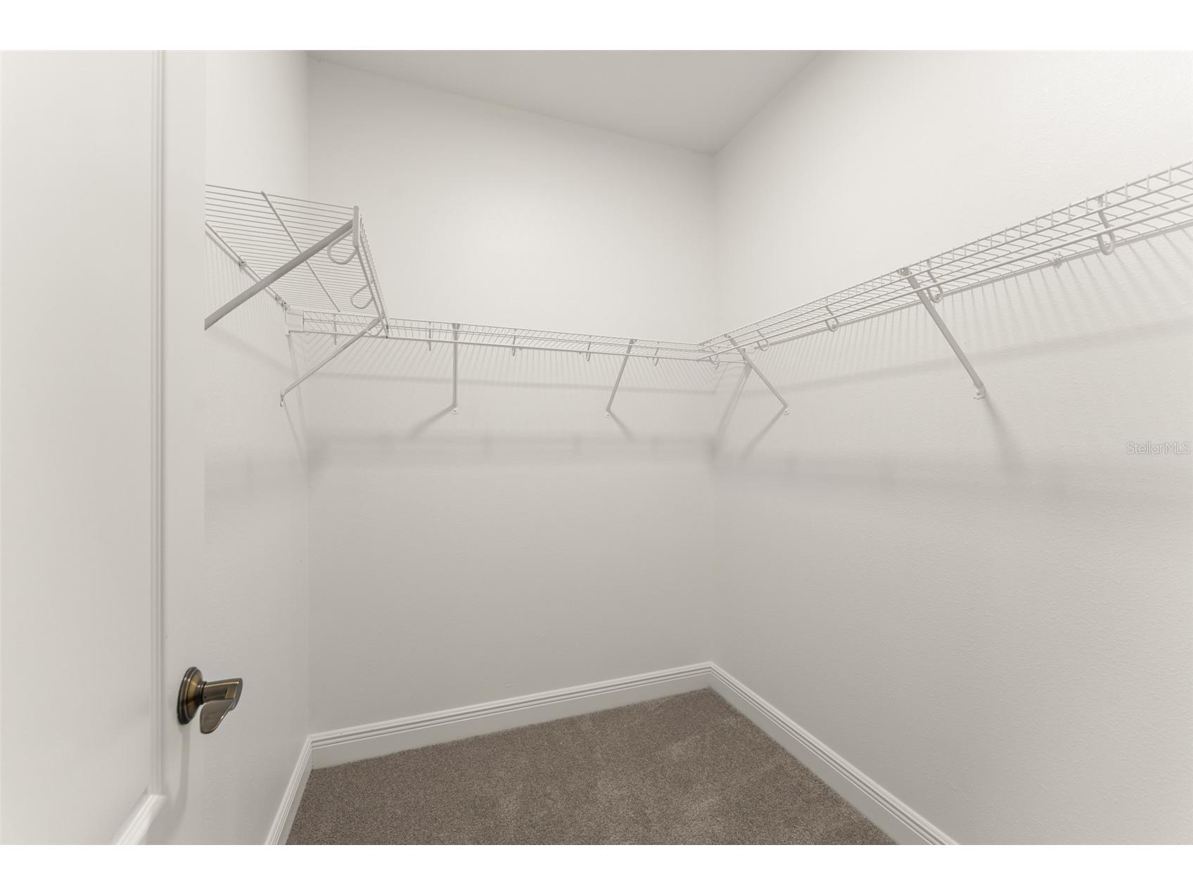 13544 Riggs Way Windermere FL 34786 O6404050 image35