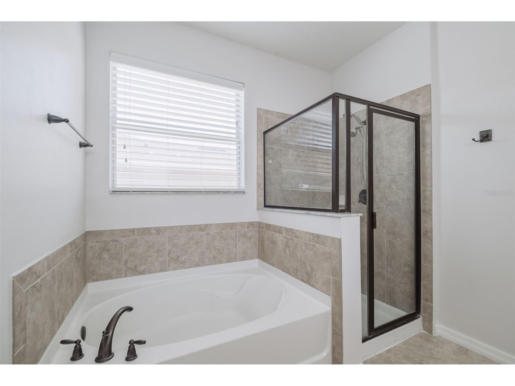 13545 Laranja Street Clermont FL 34711 O6405748 image24