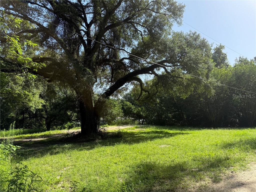13545 SW 5th Lane Ocala FL 34481 OM706206 image1