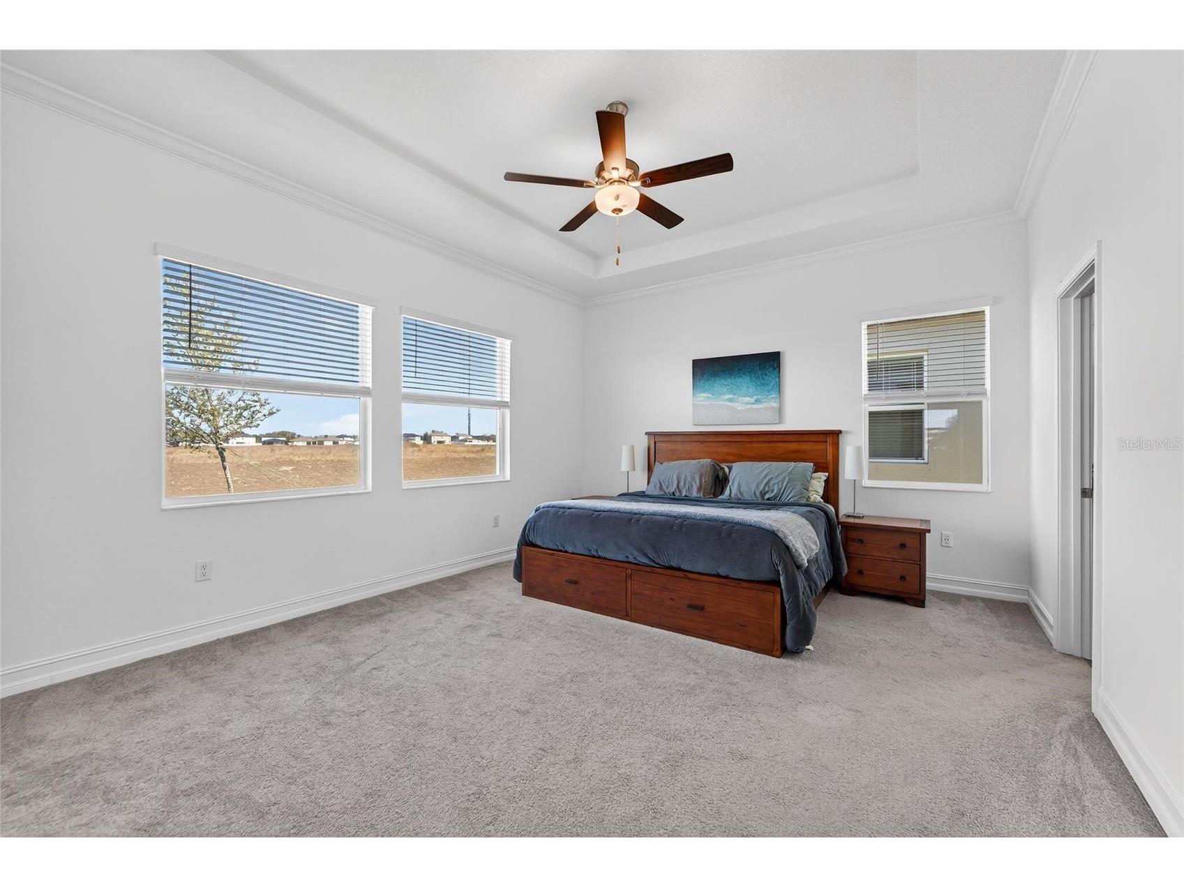 13546 Brook Trout Court Riverview FL 33579 - POND TB8474729 image13