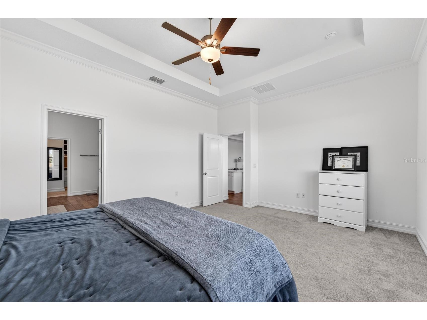 13546 Brook Trout Court Riverview FL 33579 - POND TB8474729 image14