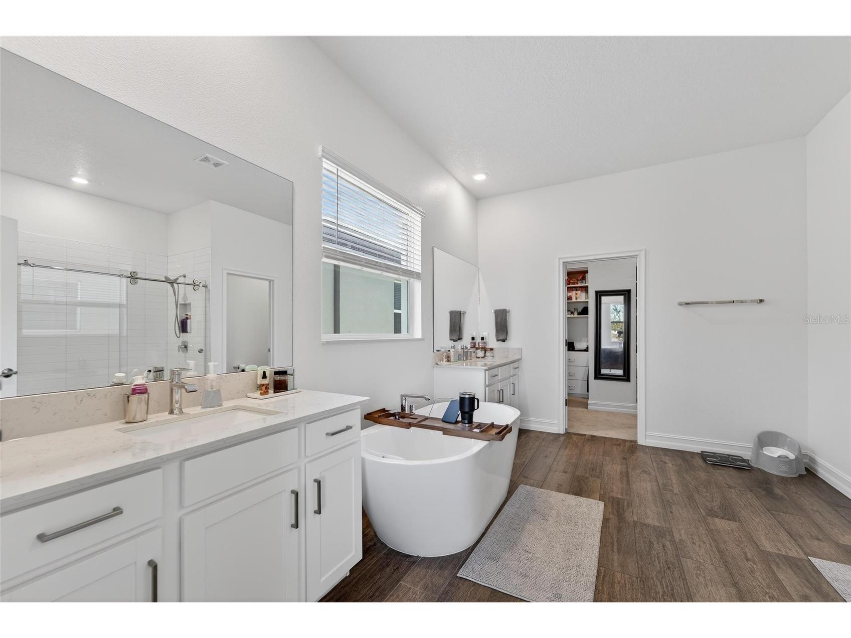 13546 Brook Trout Court Riverview FL 33579 - POND TB8474729 image16