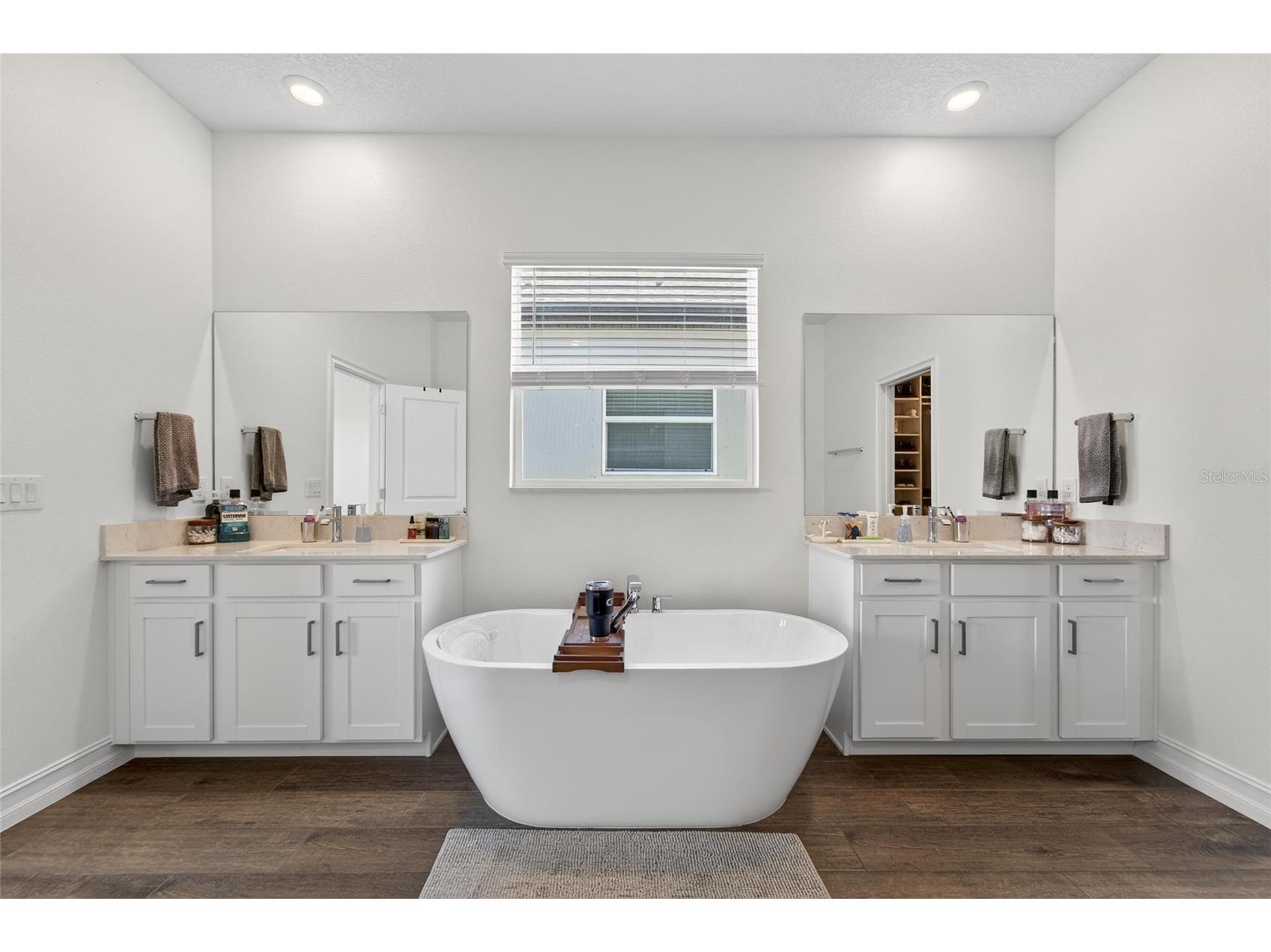 13546 Brook Trout Court Riverview FL 33579 - POND TB8474729 image17