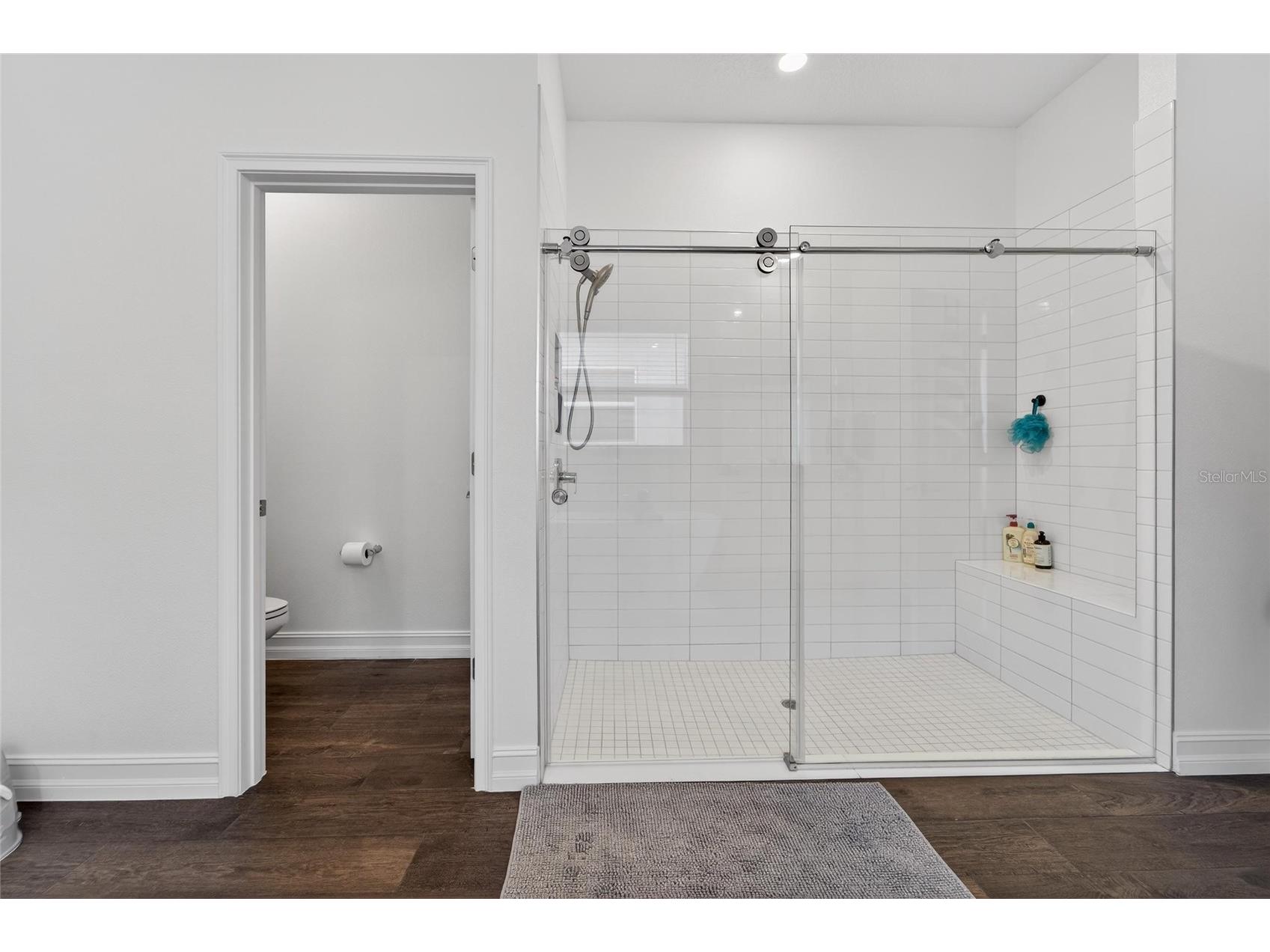 13546 Brook Trout Court Riverview FL 33579 - POND TB8474729 image18