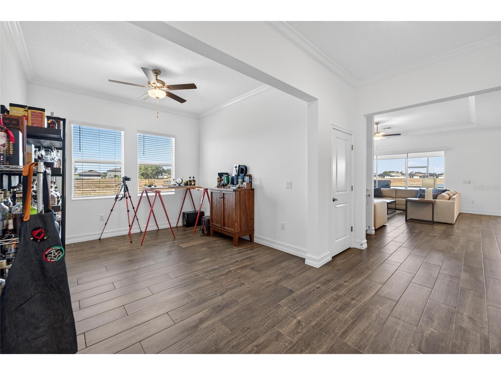 13546 Brook Trout Court Riverview FL 33579 - POND TB8474729 image20