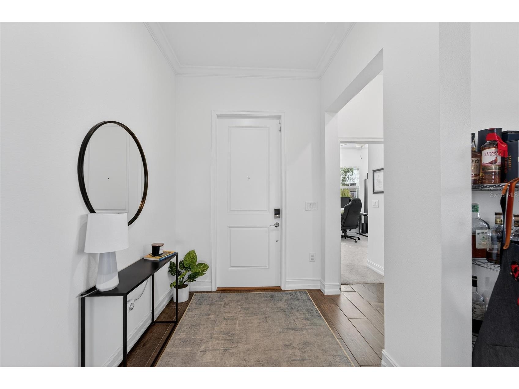 13546 Brook Trout Court Riverview FL 33579 - POND TB8474729 image22