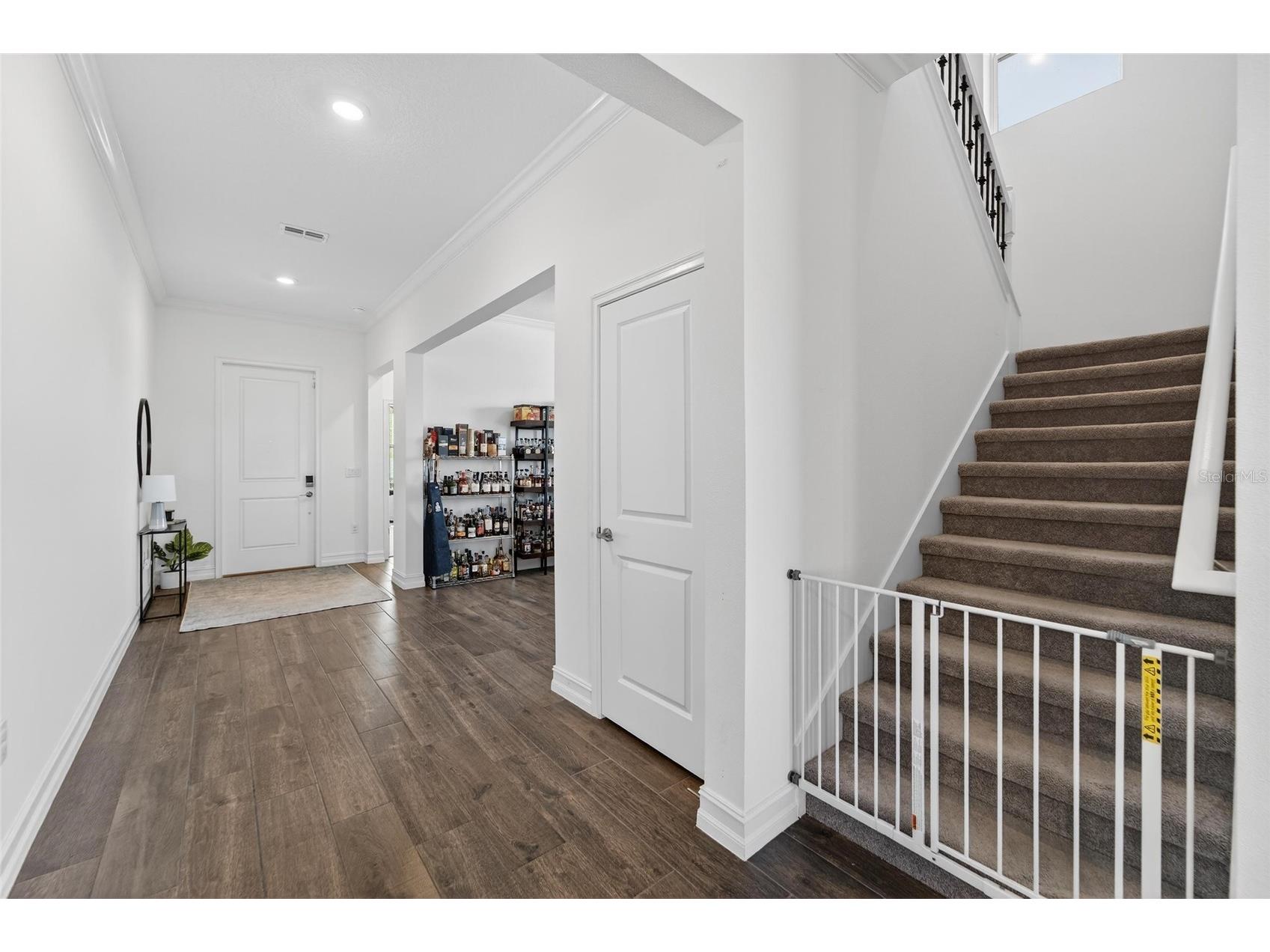 13546 Brook Trout Court Riverview FL 33579 - POND TB8474729 image29