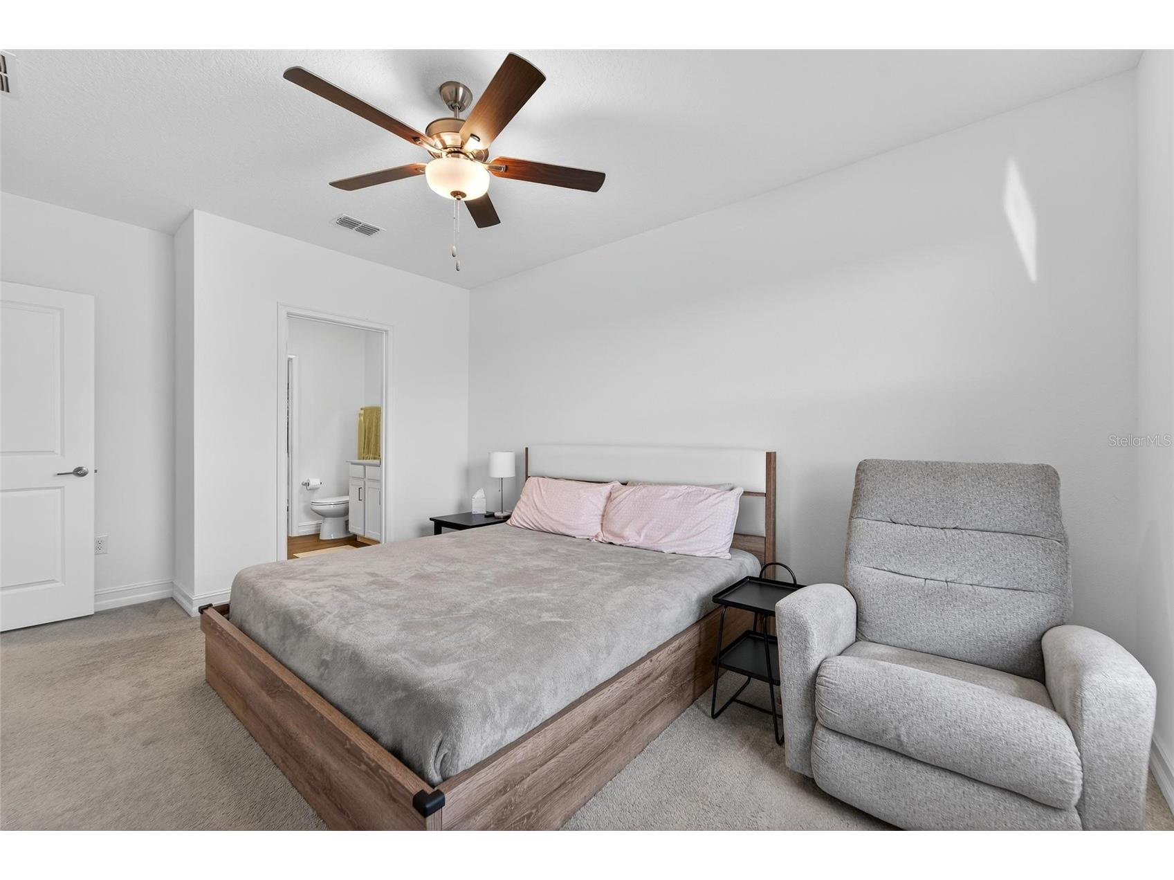 13546 Brook Trout Court Riverview FL 33579 - POND TB8474729 image37