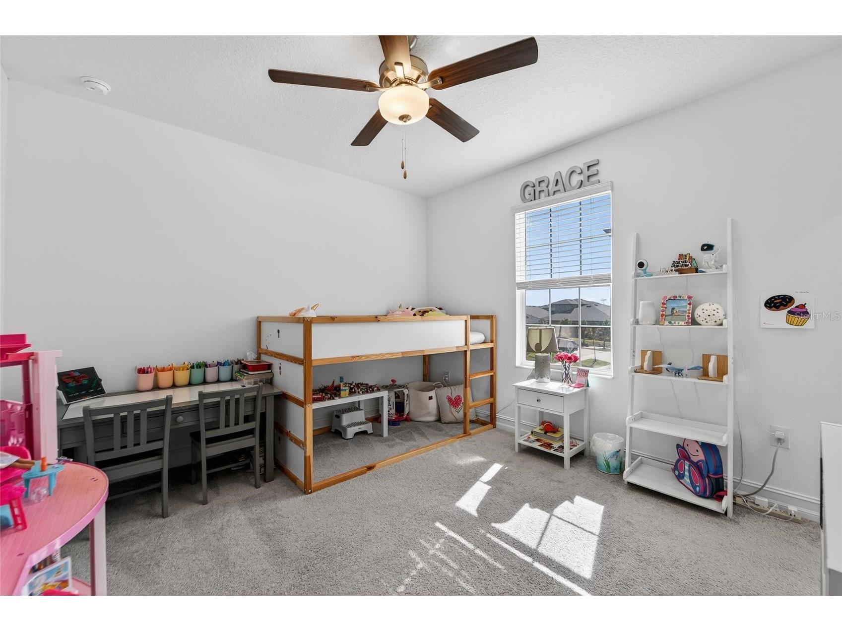 13546 Brook Trout Court Riverview FL 33579 - POND TB8474729 image41