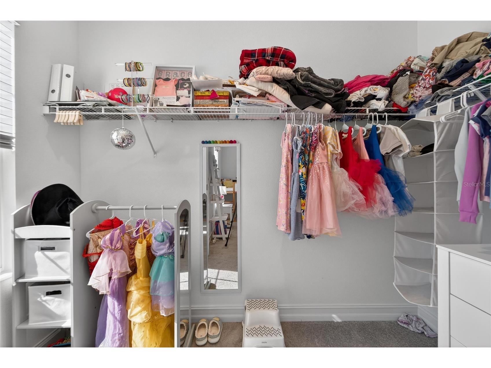 13546 Brook Trout Court Riverview FL 33579 - POND TB8474729 image43