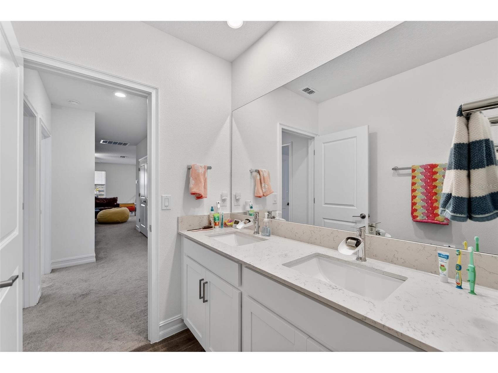 13546 Brook Trout Court Riverview FL 33579 - POND TB8474729 image48