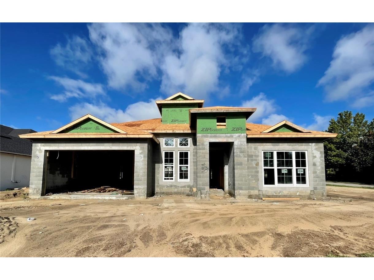 13547 Carryback Drive Dade City FL 33525 T3385748 image1