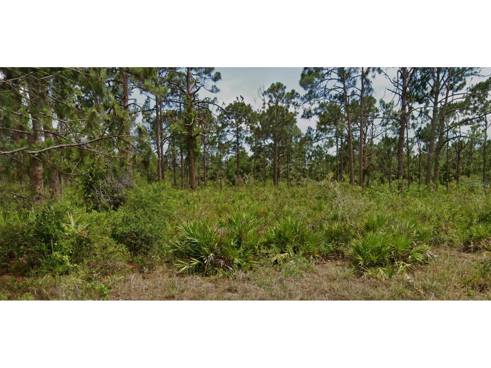 13547 Lynbrook Avenue Port Charlotte FL 33953 D6132513 image1