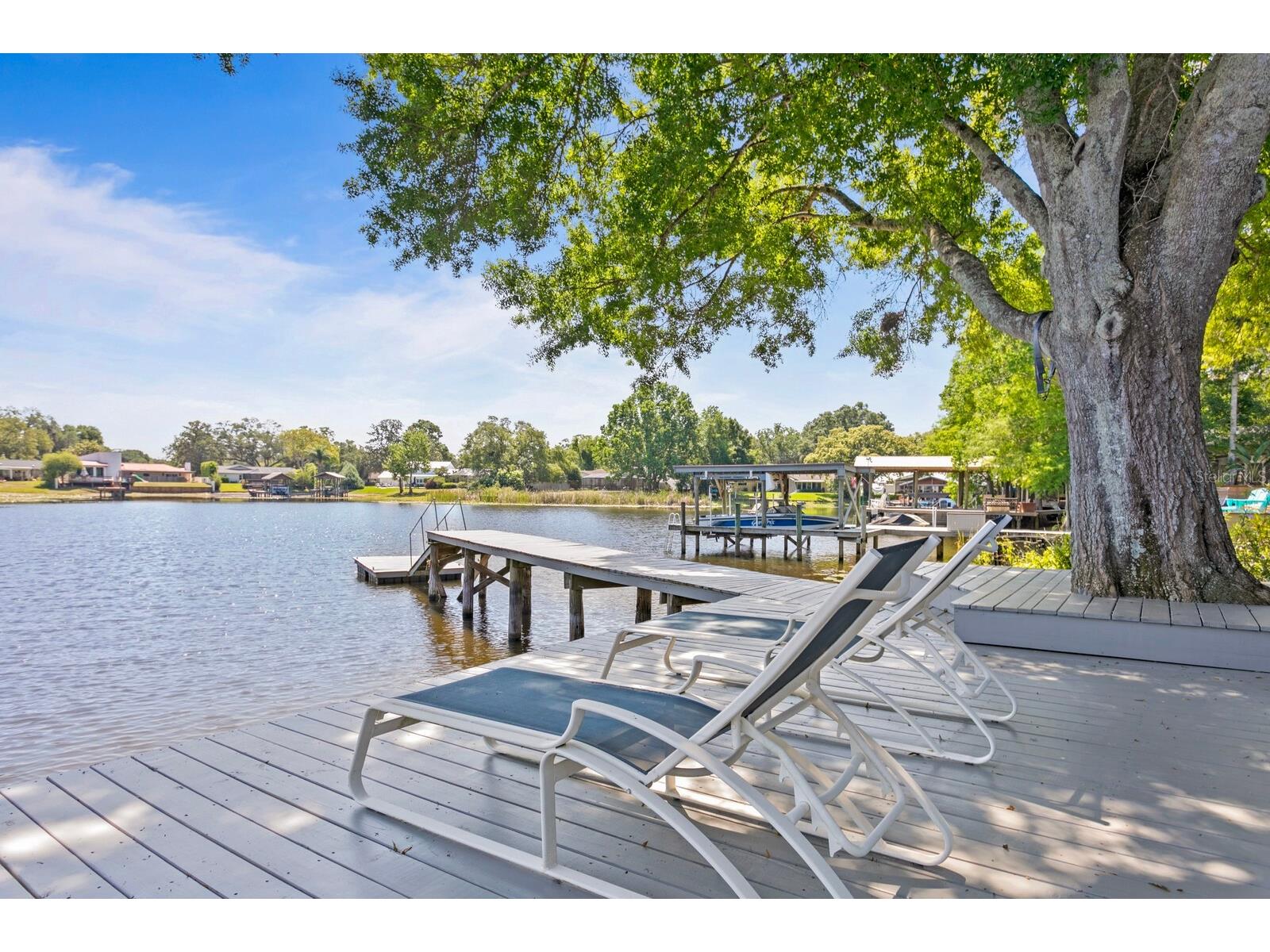 13548 Lake Magdalene Drive Tampa FL 33613 - LAKE MAGDALENE TB8487780 image55