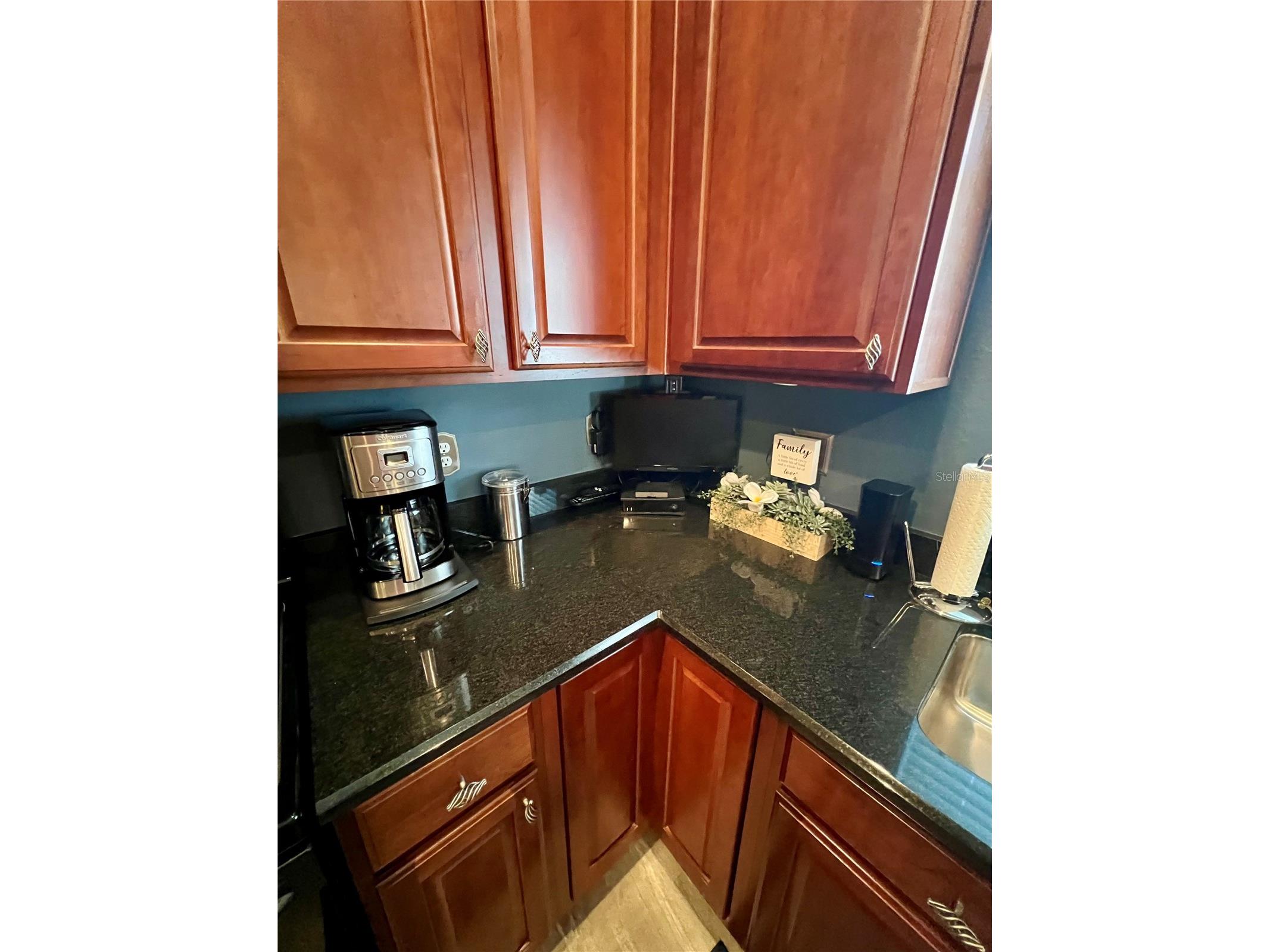 13548 Old Florida Circle Hudson FL 34669 W7882519 image18