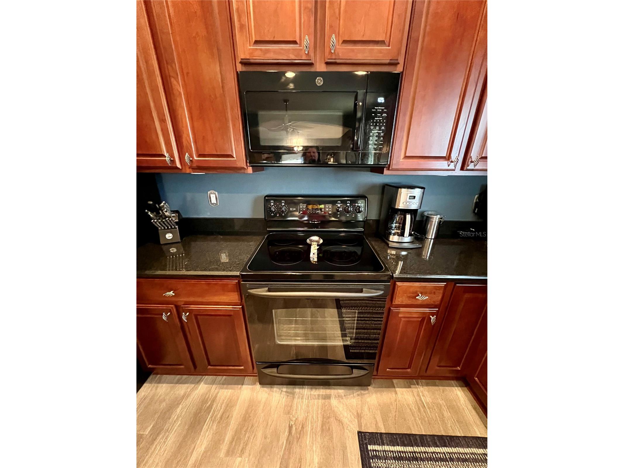 13548 Old Florida Circle Hudson FL 34669 W7882519 image19