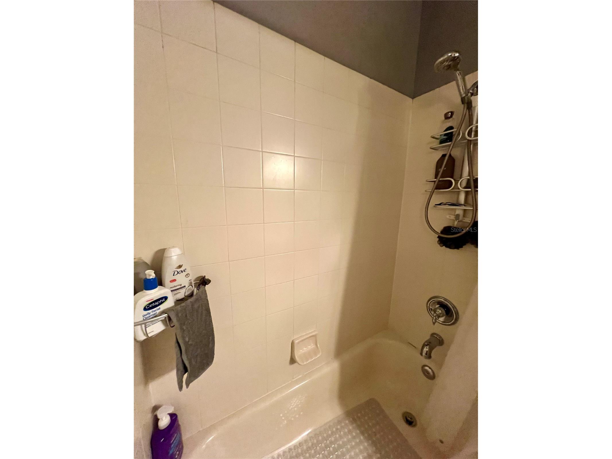 13548 Old Florida Circle Hudson FL 34669 W7882519 image31