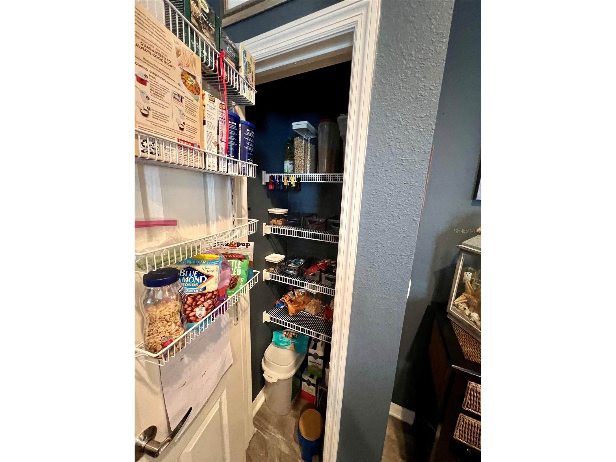 13548 Old Florida Circle Hudson FL 34669 W7882519 image41