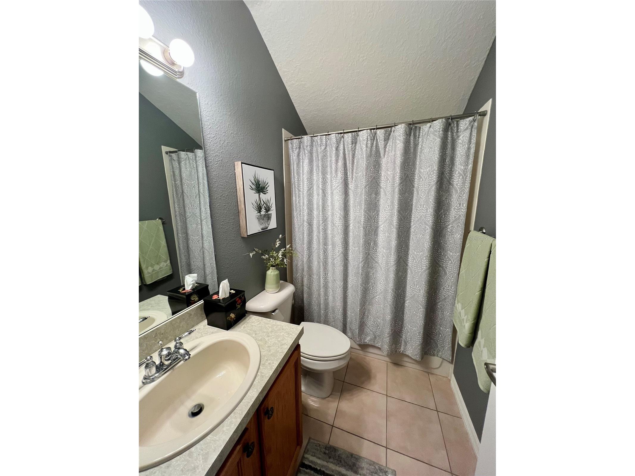 13548 Old Florida Circle Hudson FL 34669 W7882519 image43