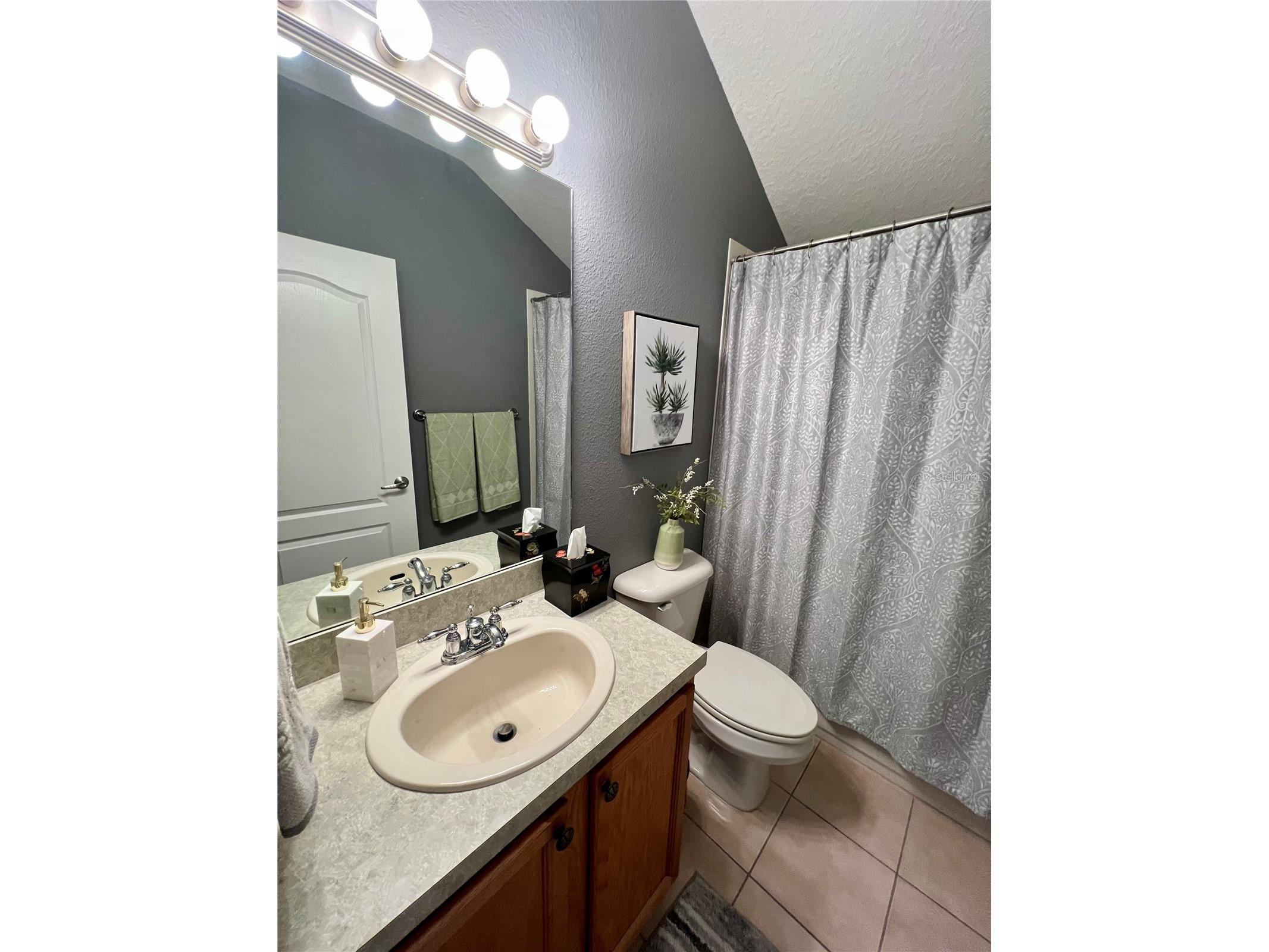 13548 Old Florida Circle Hudson FL 34669 W7882519 image45