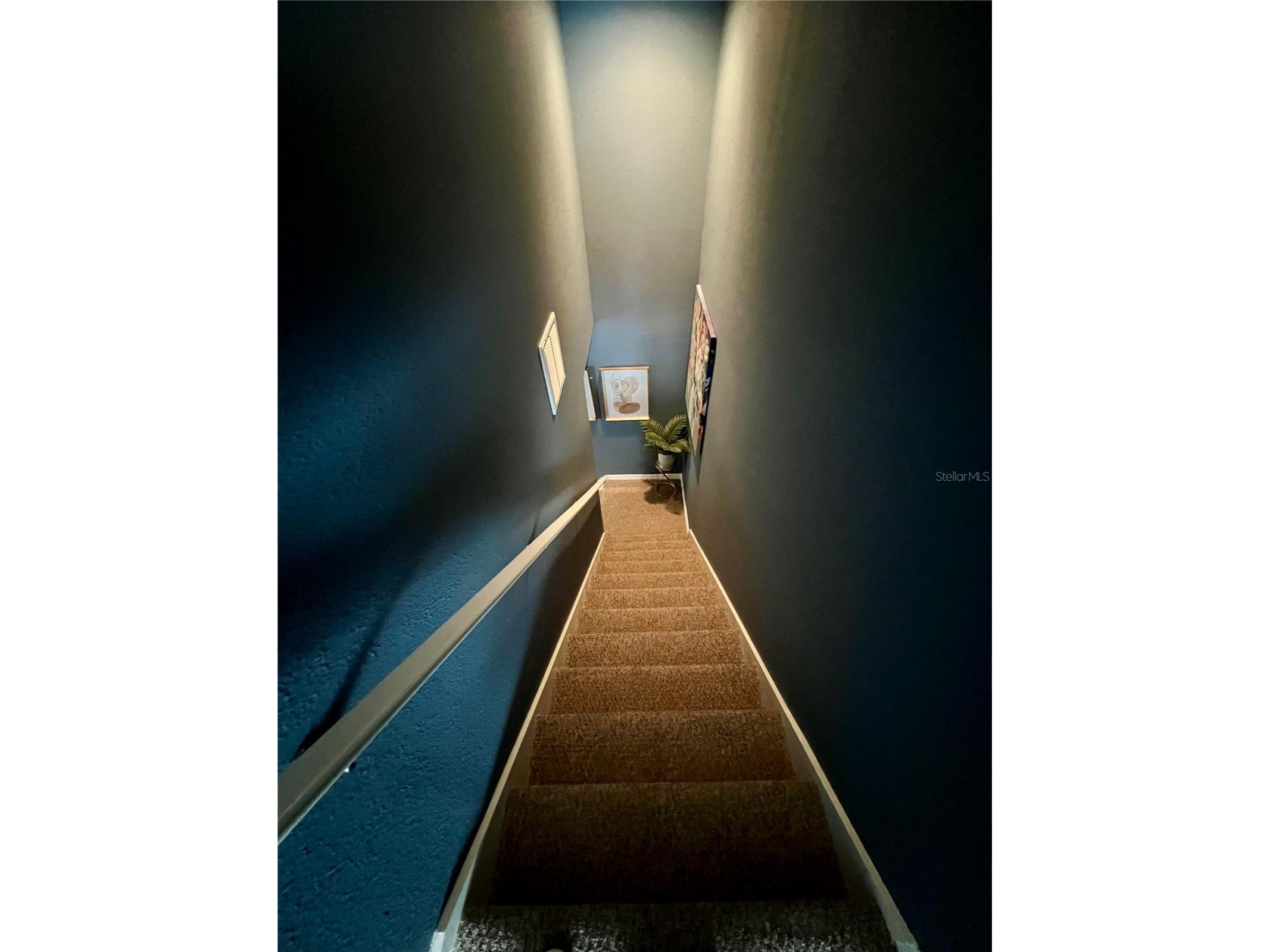 13548 Old Florida Circle Hudson FL 34669 W7882519 image49