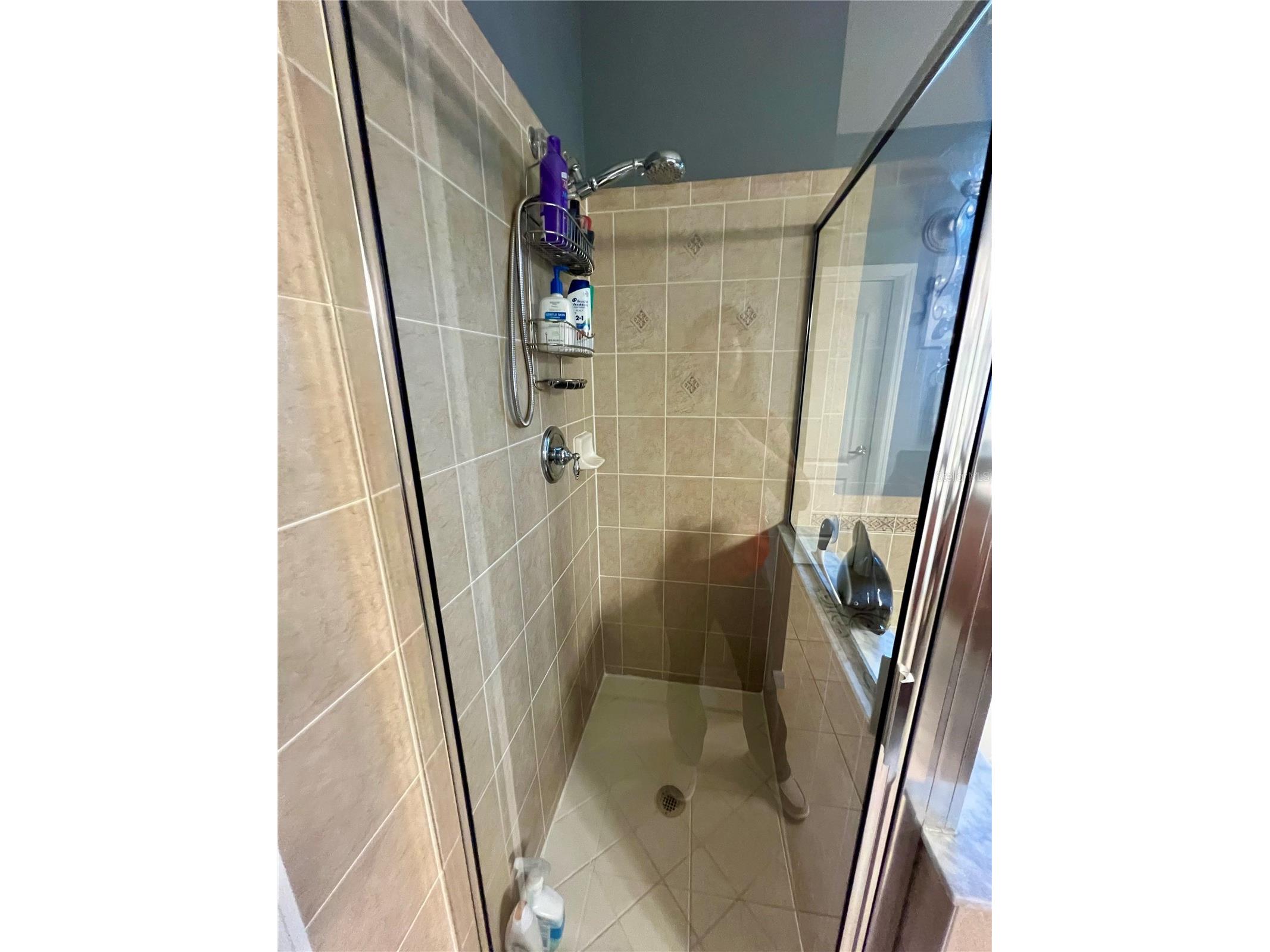 13548 Old Florida Circle Hudson FL 34669 W7882519 image59