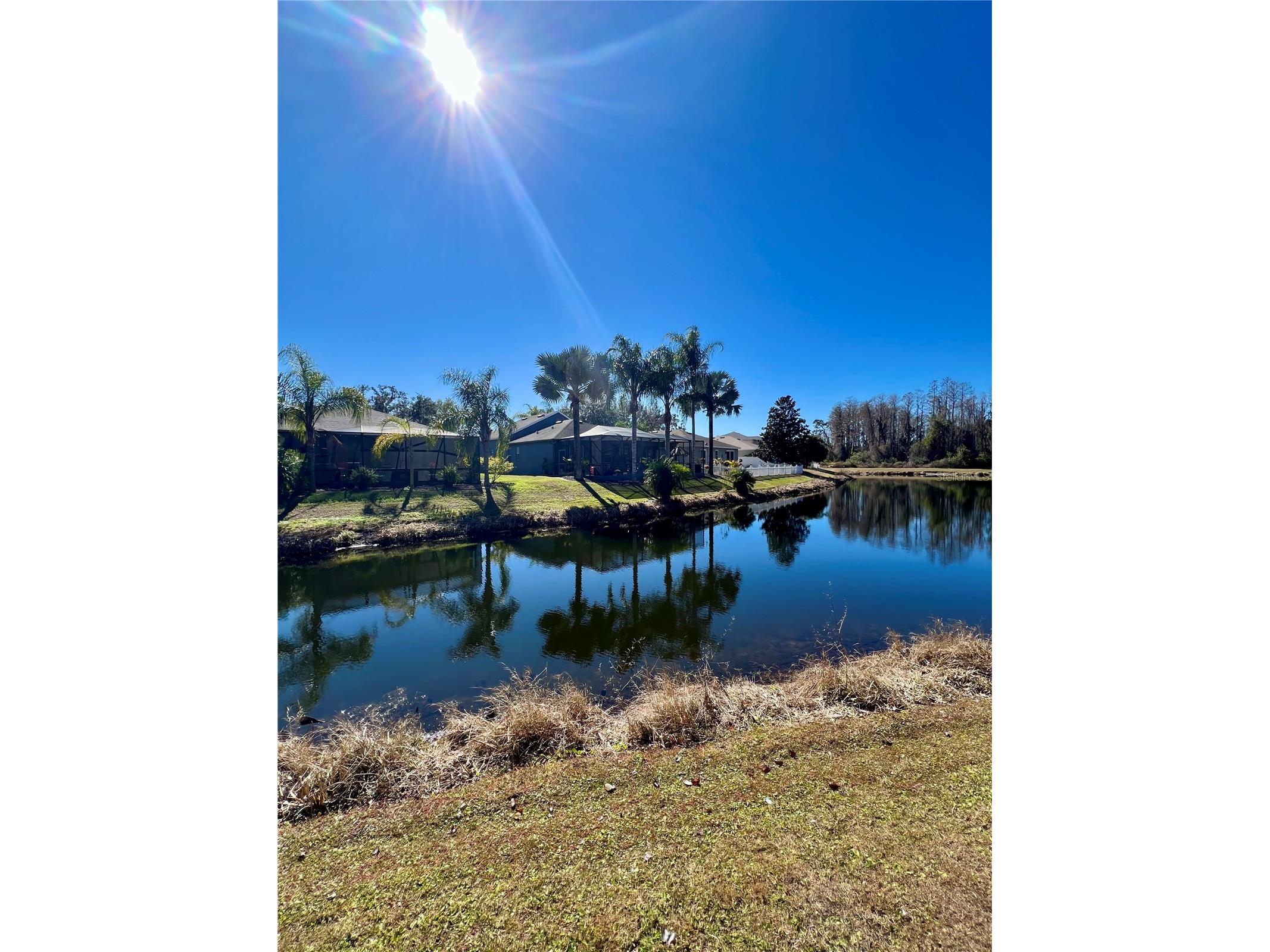 13548 Old Florida Circle Hudson FL 34669 W7882519 image91