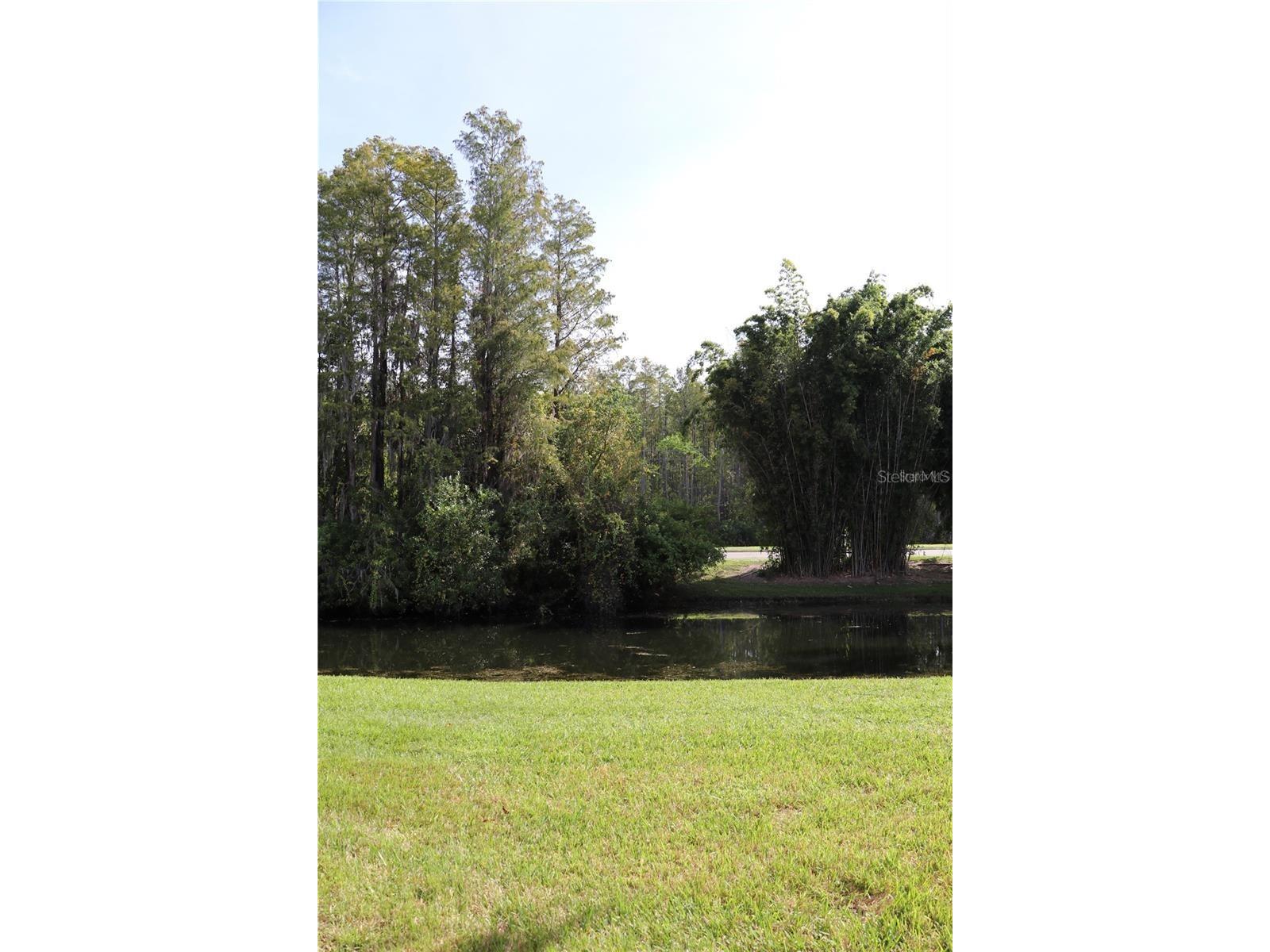 13548 Turtle Marsh Loop #413 Orlando FL 32837 S5148987 image28